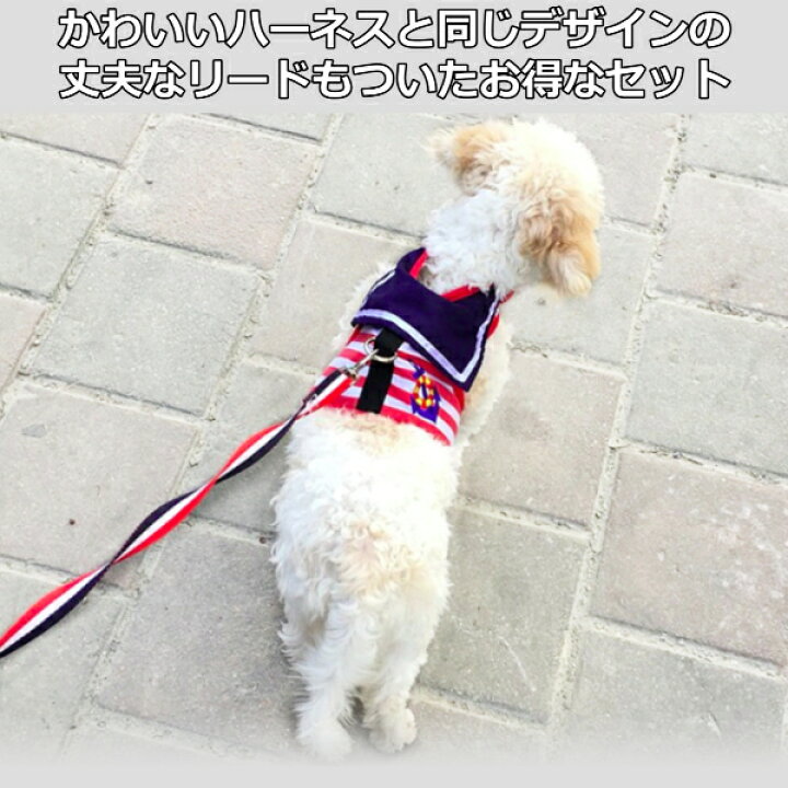 楽天市場 犬 ハーネス リード セット 小型犬 かわいい おしゃれ 安全 帯 胴輪 ペット服 散歩 ドッグ 用品 猫 簡単装着 リンクスオンライン 楽天市場店