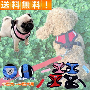 _{|Cg2{Si5%OFFN[|^ p n[lX [h t ^ ^  ˃e[v t  U 킢 ꂵȂ 30ۏ