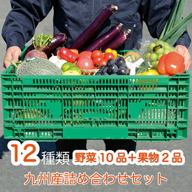 九州産 野菜セット 野菜と果物詰合せ おまかせ詰合せセット 旬の野菜 季節の野菜 野菜 野菜10種類 果物2種類 果物 新鮮 旬