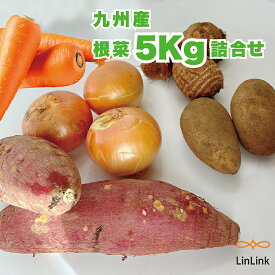 九州産 根菜セット 野菜セット おまかせ詰合せセット 旬の野菜 季節の野菜 野菜 根菜5Kg 根菜 新鮮 旬
