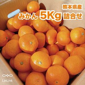 【予約商品】みかん みかん5Kg 熊本みかん 熊本産 九州産 おまかせ詰合せセット 旬 新鮮 季節の果物 果物 柑橘 ミカン