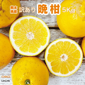 【訳あり品】 晩柑 ジューシー 河内晩柑 和製グレープフルーツ ジューシーオレンジ 5kg 熊本県産 九州産