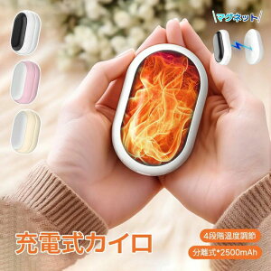 �y�ŐV�^�������z�[�d���J�C�� �J�C�� �d�C�J�C�� ���y�� 2�� �d�C���� �n���h�E�H�[�}�[ �����ԘA�����M 4�K�i���x����