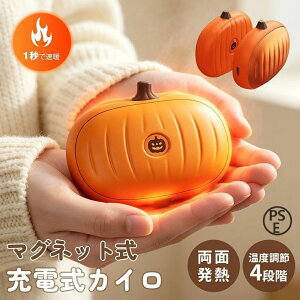 �[�d���J�C�� �n���h�E�H�[�}�[ ��Z�f�U�C�� USB�[�d�� �J�C�� �~�j�T�C�Y 4000mAh�`6000mAh 3�i�K���x���� 40�`55�� ���킢�� �R���p�N�g