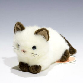 たけのこ プチどりーむ ミニ A シャムネコ ぬいぐるみ 95029
