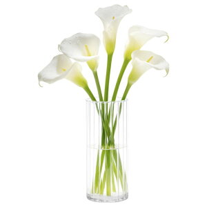 �ԕr �K���X ����20cm ���a9cm �~�� �k�� �t�����[�x�[�X �}�� ��֑}�� ������ �K���X�x�[�X �V���v���Ԋ� ���ւ����₷�� �C���e���A���� �N���A