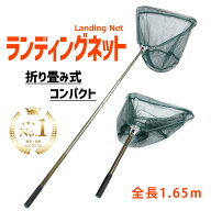 【楽天1位】網 たも 伸縮式 1.65m ランディングネット タモ 折りたたみ 釣り具 たも網 釣り道具 タモ網 …