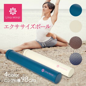 楽天市場 エクササイズ用ポール 人気ランキング1位 売れ筋商品