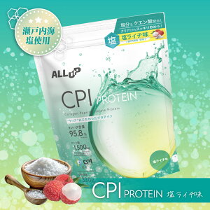 ALLUP CPI�v���e�C�� 330g 900g �����C�` �R���[�Q�� �v���e�C�� �R���[�Q���y�v�`�h �R���[�Q���p�E�_�[ CPI �n���₷�� �������� ����ς��� �^���p�N �ؓ� �؃g�� �g���[�j���O �����ς� �X�b�L