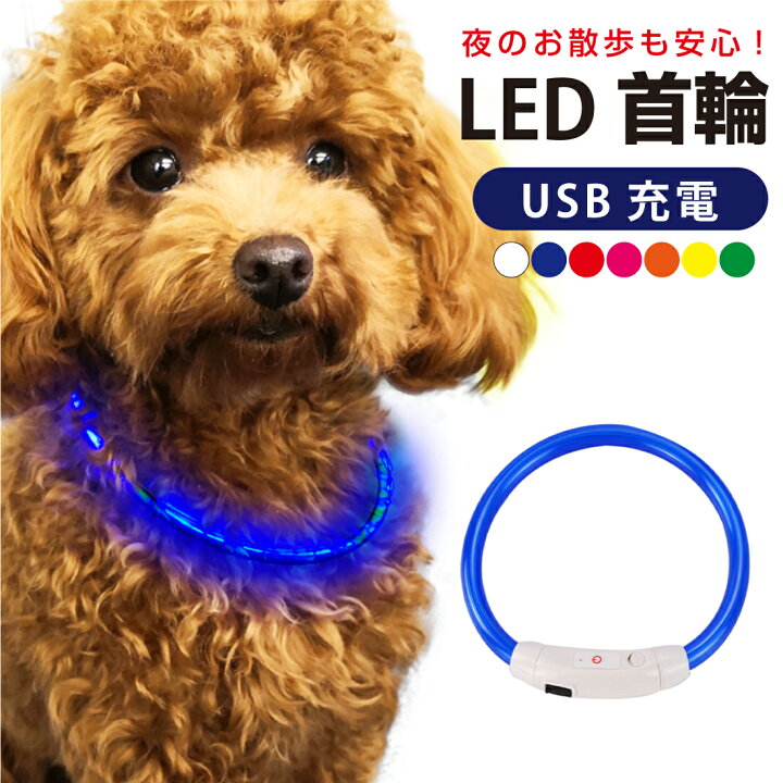 楽天市場 楽天1位 犬 首輪 光る 光る首輪 カラー ペット 猫 Led ライト リード 光 点灯 点滅 蛍光 小型犬 中型犬 大型犬 Usb充電式 夜 散歩 安全 事故防止 安全グッズ ペット用品 ドッググッズ 犬用品 便利 簡単 サイズ調整可 S M おしゃれ