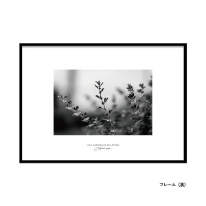 |X^[ A4 A3 A2 A1 Iׂ TCY A[g ʐ^|X^[  E i LINSL / 0240 { y k _  A[g|X^[ ؍ CeA G A[g  Q Ǌ| mN