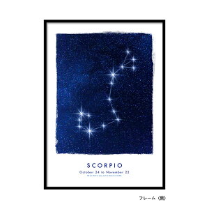 yP2{&N[|z A[g|X^[ IׂTCY A4 A3 A2 A1 k i LINSL / 0269 { 嶍 SCORPIO y A[gpl A[g{[h k_  A[g |X^[ ؍ Ce