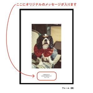 Ȃ I[_[|X^[ p[\iCYtHg A4 A3 A2 A1 Iׂ TCY  E i { tHgvg ʐ^ pl y LoX vg I[_[  v[g 