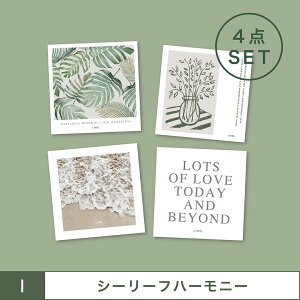 y 50%OFF 20`zCyɏ 36 _ fUCJ[h ~jA[g 4g `l  E i ̕0.3mm LINSL y ؍ CeA bZ[WJ[h Mtg |