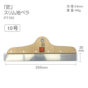 PT103�@�v���V���[�Y���X�����@�n�x��10���@30cm