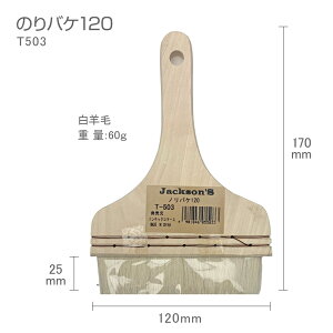 T503�̂�΂�120��12cm�я�2.5cm���r��