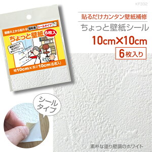 KF332ƕǎ10cm×10cm6fpȓhǒ̃zCg