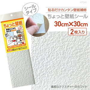 KF341������ƕǎ�30cm×30cm2������@�ׂȃe�N�X�`���[�̃z���C�g