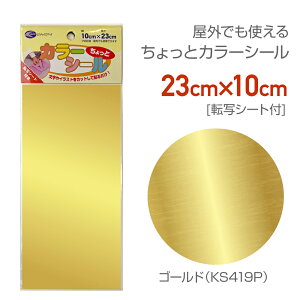 KS419P@ƃJ[V[@10cm×23cm@]ʃV[@S[hA