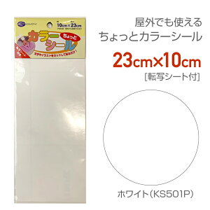 KS501P@ƃJ[V[@10cm×23cm@]ʃV[@zCg