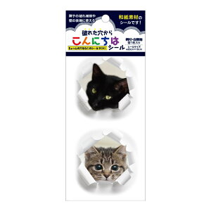 SOJS064@jꂽV[E˂@afނgpj[NȏqCV[