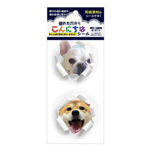 SOJS065@jꂽV[Eʁ@afނgpj[NȏqCV[