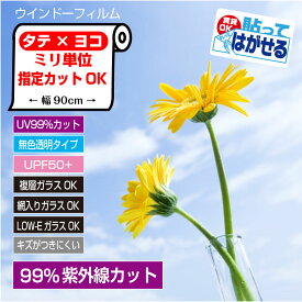 RT05ぴったりカット ミリ単位オーダーカットUVカットフィルムUV99％カットUV波長域300〜380nmカットすっきりクリア　使用後はがせる　日本製注文確認より7営業日以内に出荷
