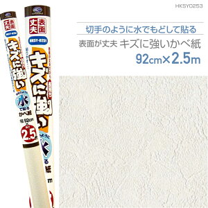 HKSY0253@\ʏvLYɋǎ@Ď^Cv@92cm×2.5m@hǒ̃zCg