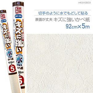 HKSY0503@\ʏvLYɋǎ@Ď^Cv@92cm×5m@hǒzCg