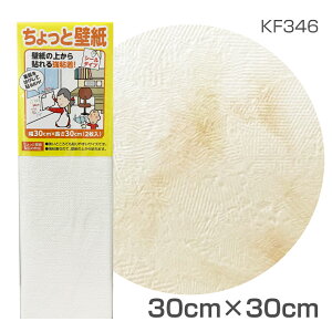 KF346�@������ƕǎ��@30cm×30cm�@2������@���ʉ�̂悤�ȃt�����[�x�[�W��