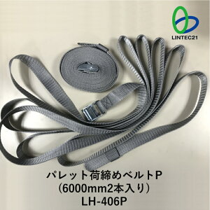 Cgt s nk΍ h S΍ LH-406P pbgג߃xgP 6000mm2{ яoh~ pbgύڕŒ ȒP ג ЊQ qɈS ebN21
