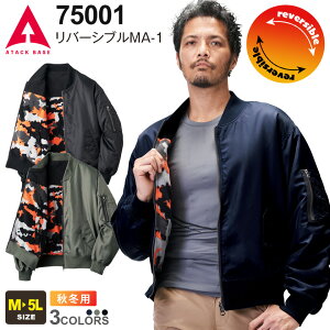 yP10{z ATACK BASE o[VuMA-1 75001 A^bNx[X h yH~z ƕ  t[X [NEGA AE^[ ƒ APEX WIN hEFA h hWPbg ƕ 㒅  