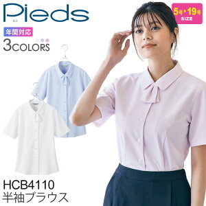 yP10{z Pieds uEX HCB4110  fB[X yʔNz p ItBXEFA  d hH Xgb` m[AC Vc jtH[ Vc sG 킢 i 