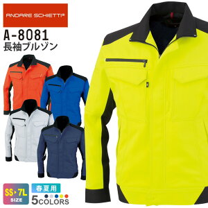 yP10{z CO-COS u] A-8081 R[RX ytāz ڐG⊴ ƕ ANDARE SCHIETTI Ah XPbeB WPbg 㒅 ƒ [NEGA Y fB[X jp JIS ѓdh~Ki