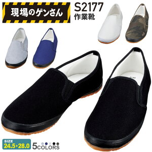 ̃Q ƌC S2177 d y3Ez yʔNz [NV[Y dC  Xb| RۖhL C y yC ʋC̗ǂC Jichodo Xj[J[ cȂ