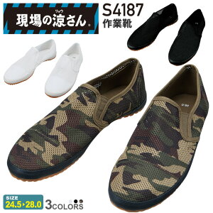 ̗ ƌC S4187 d y3Ez yʔNz [NV[Y dC  Xb| m}[LO C bVf y yC ʋC̗ǂC Jichodo Xj[J[ cȂ