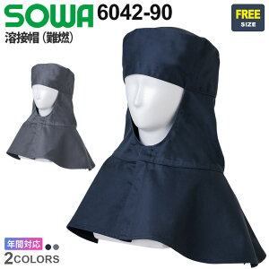 SOWA nږXiRj 6042-90 \[ Ka ƕ yʔNzRbg100 REhЍƕ  ϔM ω ƕ ڂ d n ΂ɋ fB[XΉ 6042V[Y