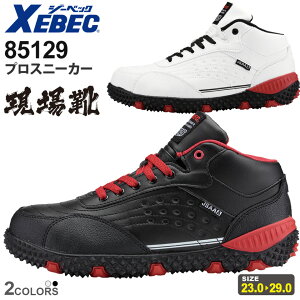 yP3{z XEBEC vXj[J[ 85129 W[xbN ƌC |c 4E C SC yʔNz Ђ|P ˍޕt V[Y [NV[Y ϖS Ռz RہEhL h~\