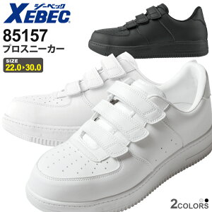 yP5{z XEBEC vXj[J[ 85157 W[xbN ƌC |c yʔNz Ch݌v V[Y [NV[Y ϖS Ռz ϊ\[ RہEhL Z[teBV[Y j