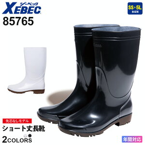 yP3{z XEBEC @\PVCZ[teB[V[g䒷C 85767 W[xbN ƌC cȂ yʔNz Z[teBu[c [Nu[c [NC Jϋv jp