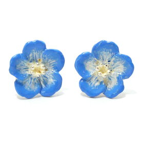 楽天市場 ネモフィラの通販