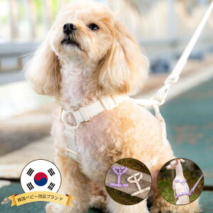 n[lX  ̕SȂ ^ ^ q  AC{[ p[v t@bV n[lXp ̃n[lX _炩 xXgn[lX ps[ ^ ɏ ȒP Ȃ 