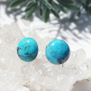 嗱ΖkȎYɏ^[RCỸsAXEE\ET[WJXeX@`ZKijT[WJXeX SUS316 WG[ ANZT[ sAX ^[RCY nhCh