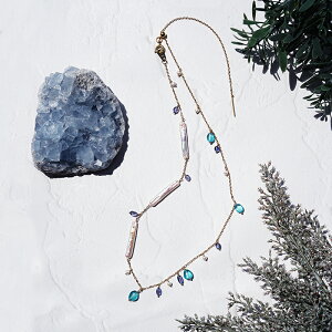 ^Ɛ΂ɂXChET[WJXeXlbNX@`ΔȃS[h VR ANZT[ [h T[WJXeX SUS316L XChlbNX Xg[ Vv  n