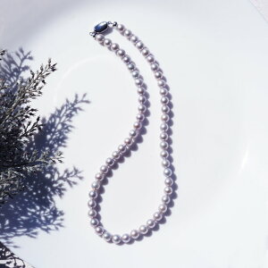 Vo[p[iW^j̈AlbNX@`ԁ@p[ VR WG[ ANZT[ {^ ^ ґ tH[} Vv nhCh v[g Mtg d˕t [h 