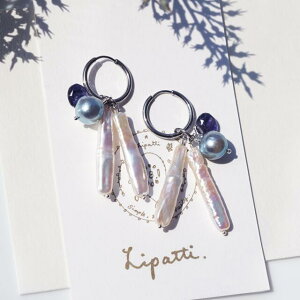 ^ƃACICg̃t[vsAXECOLET[WJXeX@`IJi䂵j VR ANZT[ Xg[ Vv  u[ sAX nhCh v