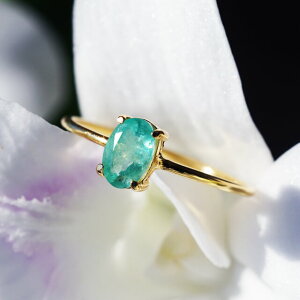 Gh6mm̃I[ot@Zbgܗ߃OEc@`bq̐FO VR WG[ [h ANZT[ zCgf[ ̓ Vv nhCh v[g Mtg o