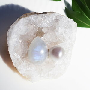 C{[[Xg[ƃobN^̃u[`@`Snow white@VR Xg[ Vv WG[ ̓ ANZT[ v[g Mtg  ł ItBX wZ u[` 