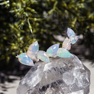 Ip[ɂlRiM̉ԕ̃u[`@`L@VR Xg[ Vv WG[ ̓ ANZT[ v[g Mtg  ł ItBX wZ H̃WG[ ~̃W