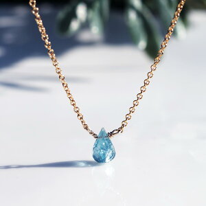 T^}AANA}̃uIbghbvJbglbNX@`Melville@14KGF WG[ ANZT[ J[Xg[ Xg[ sAX nhCh v[g Mtg Vv 